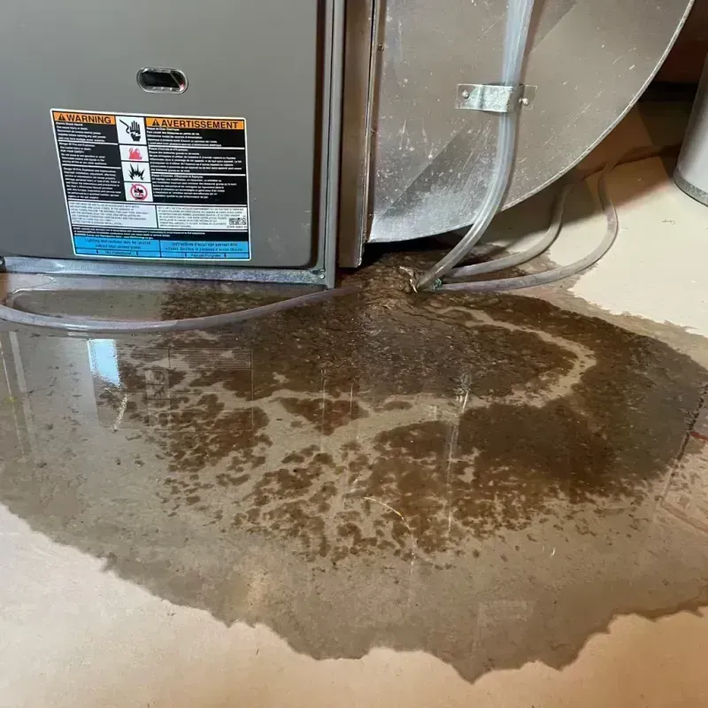 Appliance Leak Cleanup in Princeton, IL